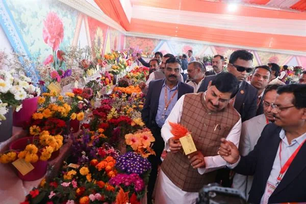उद्यानिकी आयोजन का चित्र; गुना धनिया ढेर नहीं